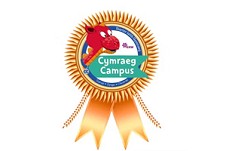 cymraeg campus logo